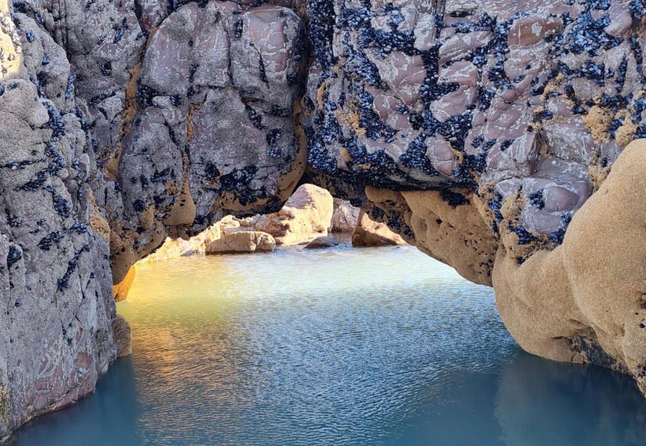 Rockpool - Bude Eksteriør bilde